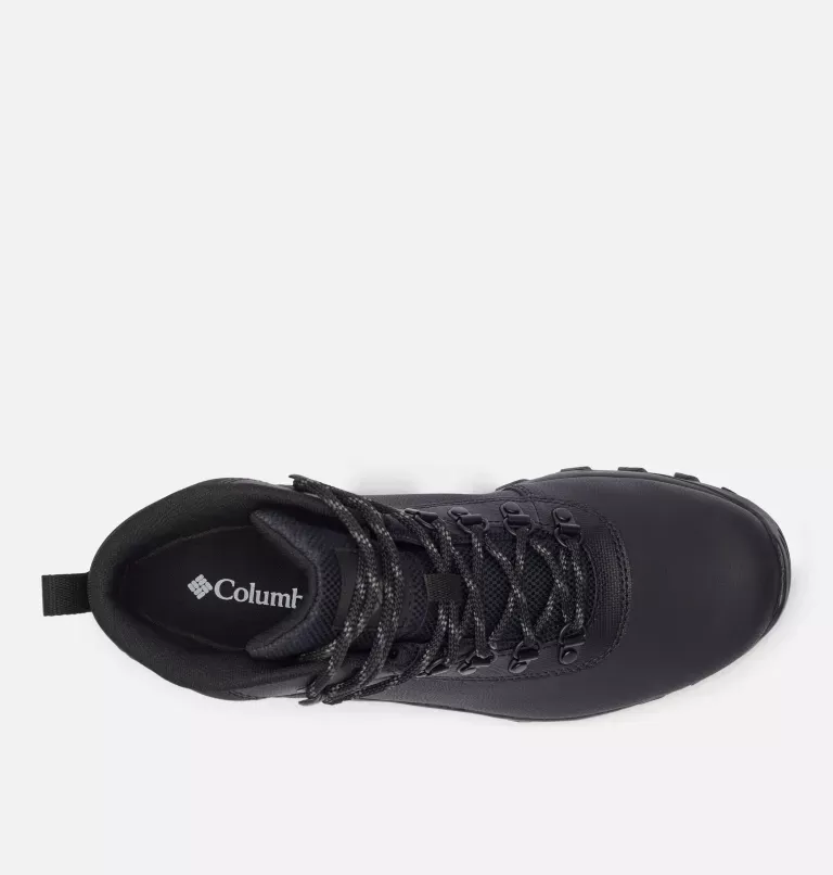 Newton Explorer