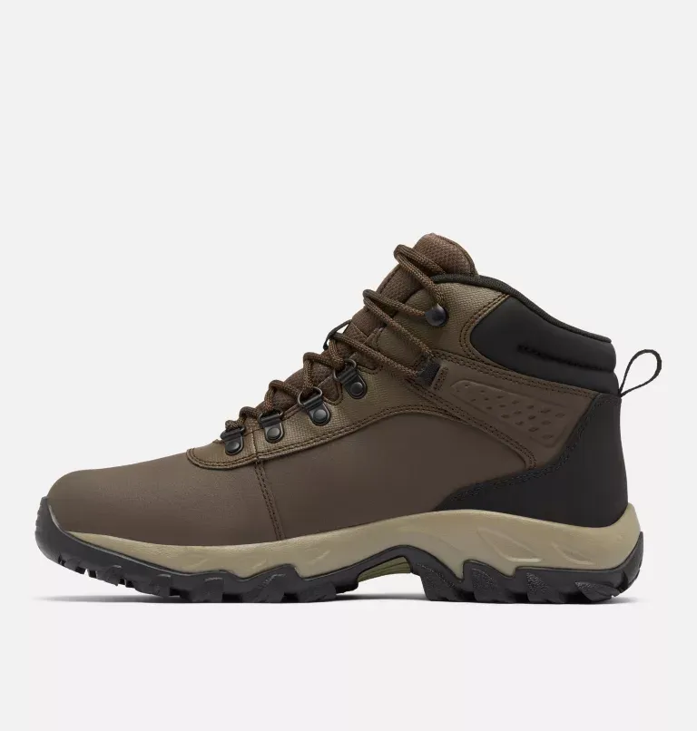 Newton Explorer