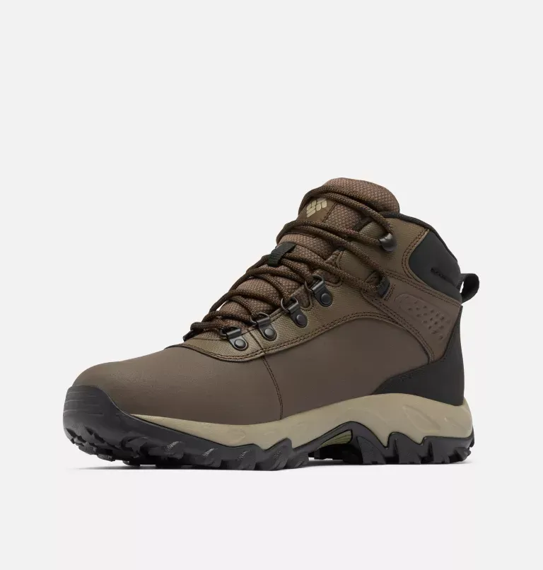 Newton Explorer